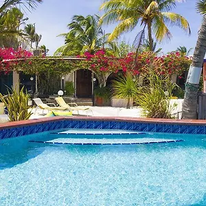 Appartement House Aruba, Palm Beach